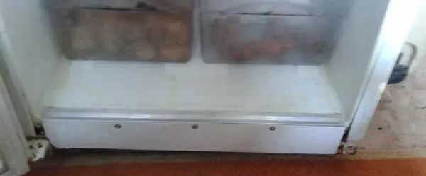 самостоятельный ремонт прогнившего холодильника НОРД