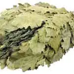 Заготовка банного веника