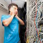 В чем разница между победителями и любителями. В чем разница между победителями и любителями.