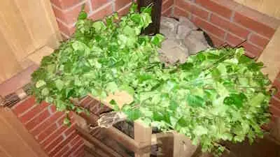 Заготовка банного веника