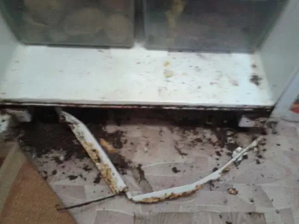 самостоятельный ремонт прогнившего холодильника НОРД